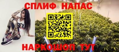 прущие грибы Пенза