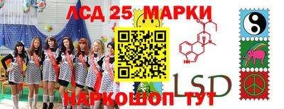 прущие грибы Пенза