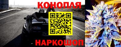 прущие грибы Пенза